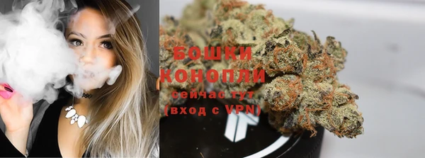 прущие грибы Баксан