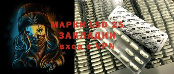 прущие грибы Баксан