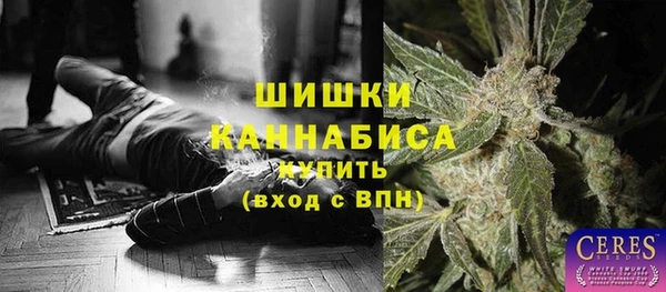 прущие грибы Баксан
