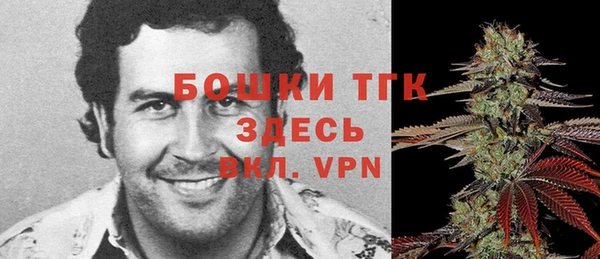 прущие грибы Баксан