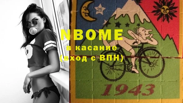 прущие грибы Баксан
